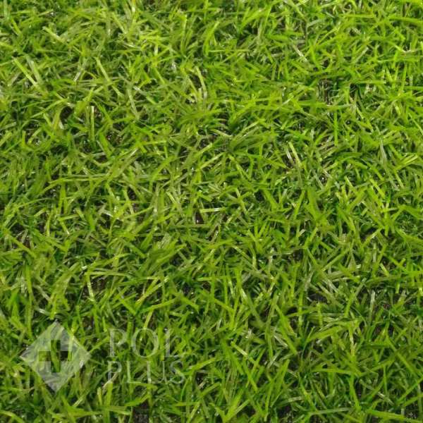 Искусственная трава Irene