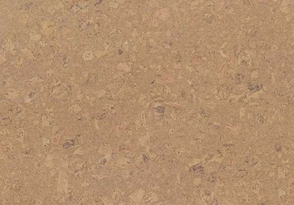 Пробковый пол Wicanders Personality Champagne P805002 