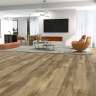 SPC ламинат Floorwood Joy 8864 Эдди 