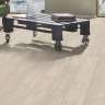 Ламинат Kronospan Forte classic 5303 Дуб Альпийский