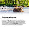 Кварцвиниловая плитка FineFloor Файнфлекс Вуд FX-105F Дуб Лапландский