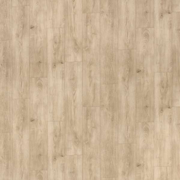 Линолеум Tarkett Idylle Nova Motion 2