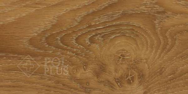 Ламинат Floorwood Serious 230 Дуб Феникс