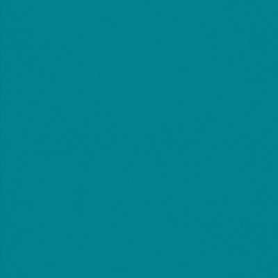 Линолеум спортивный Omnisports ACTION 65 Teal