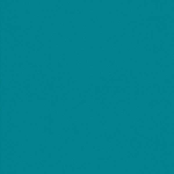 Линолеум спортивный Omnisports ACTION 65 Teal
