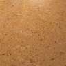 Пробковый ламинат Wicanders CORK ESSENCE Captivation C824001